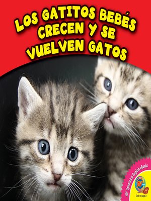 cover image of Los gatitos bebés crecen y se vuelven gatos